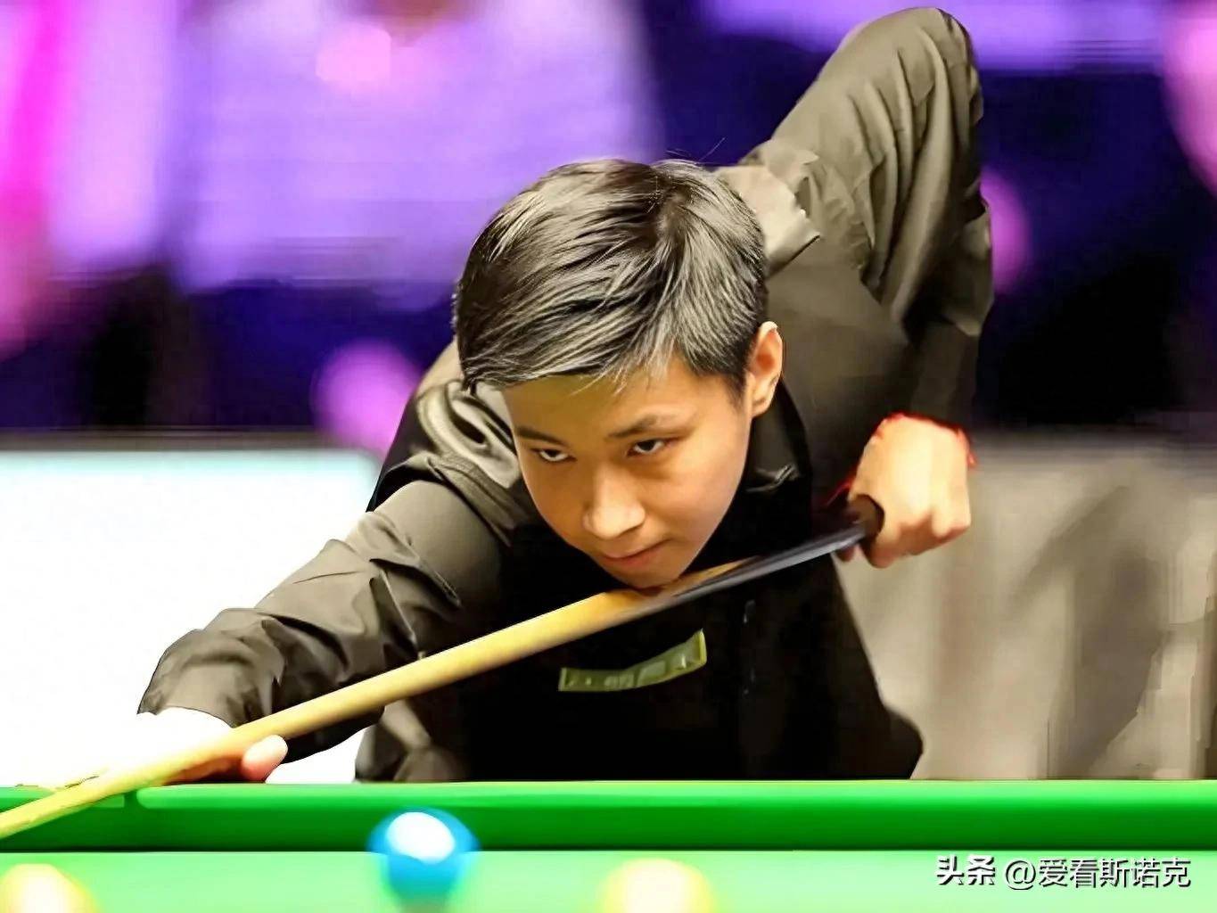 有更多的树 有更多的树